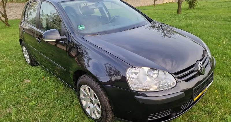 volkswagen Volkswagen Golf cena 13500 przebieg: 175000, rok produkcji 2005 z Nowy Sącz